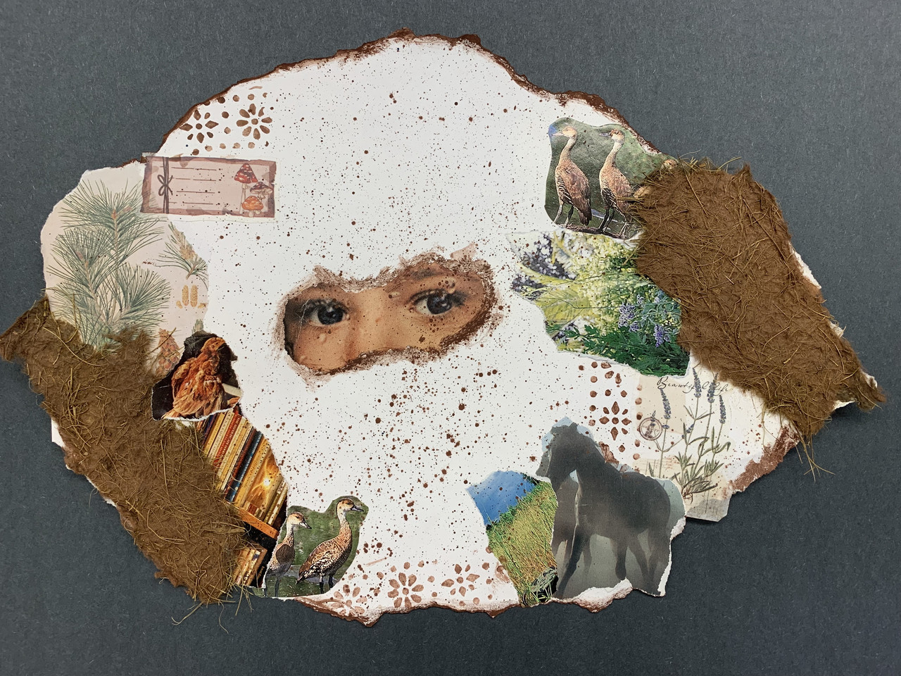 Collage on a black background. In the center is a set of human eyes on speckled white paper. Surrounding it are natural images including a horse and a bird.