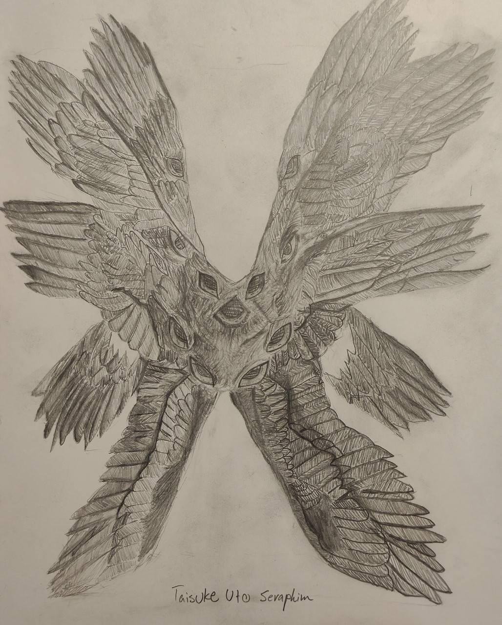 Drawing of a bird with many different wings all extending out of the main body.