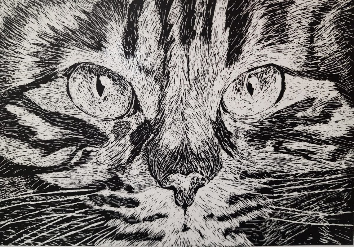 A black and white scratchboard drawing of the eyes of a striped cat.