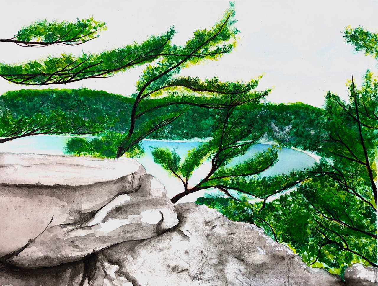 Boulders overlooking a lake and pine needle branches.