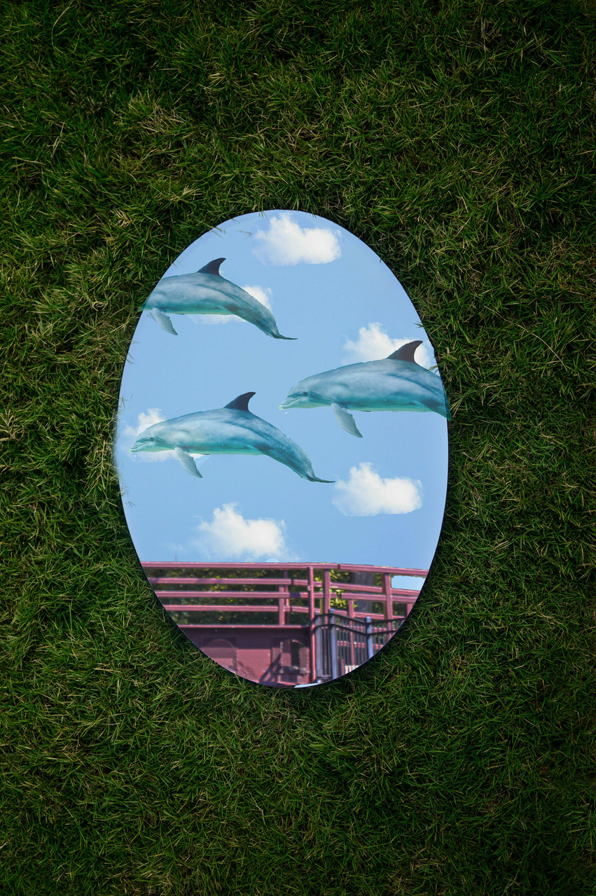 A photo montage of a mirror laying in the grass. The mirror shows dolphins floating in a cloudy blue sky.