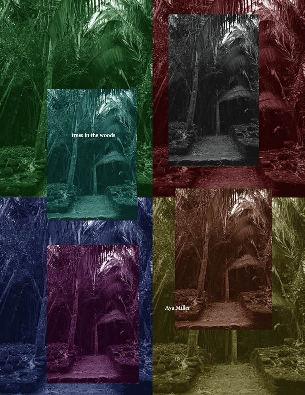 A reoccurring photo of trees. The photos are tinted in different colors and stacked on top of one another in various sizes.