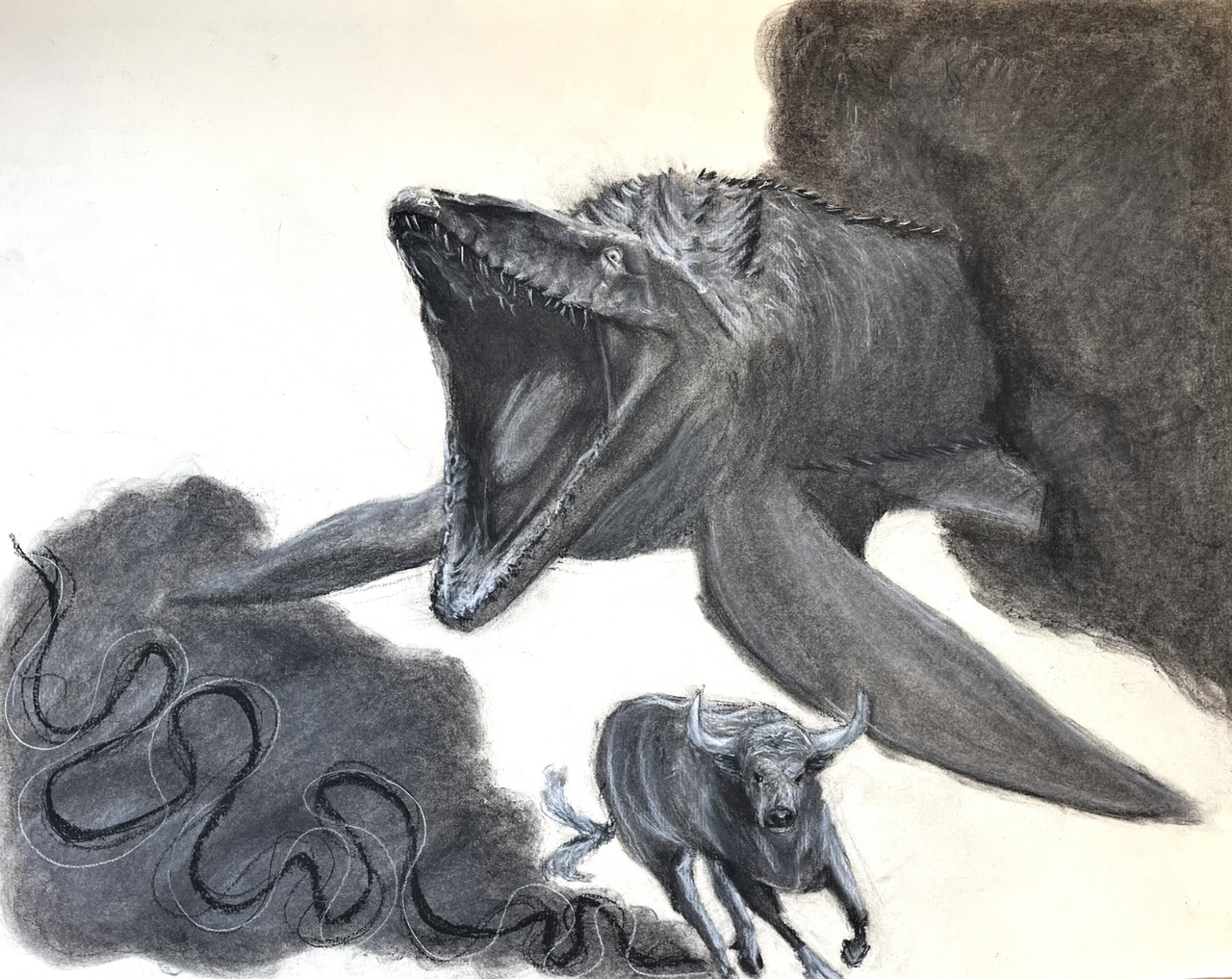 A bull charges an alligator.