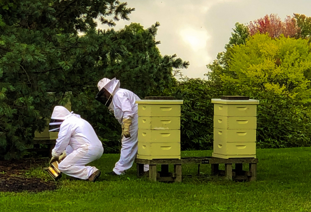 A photo of beekeepers working at the Chicago Botanic Garden.