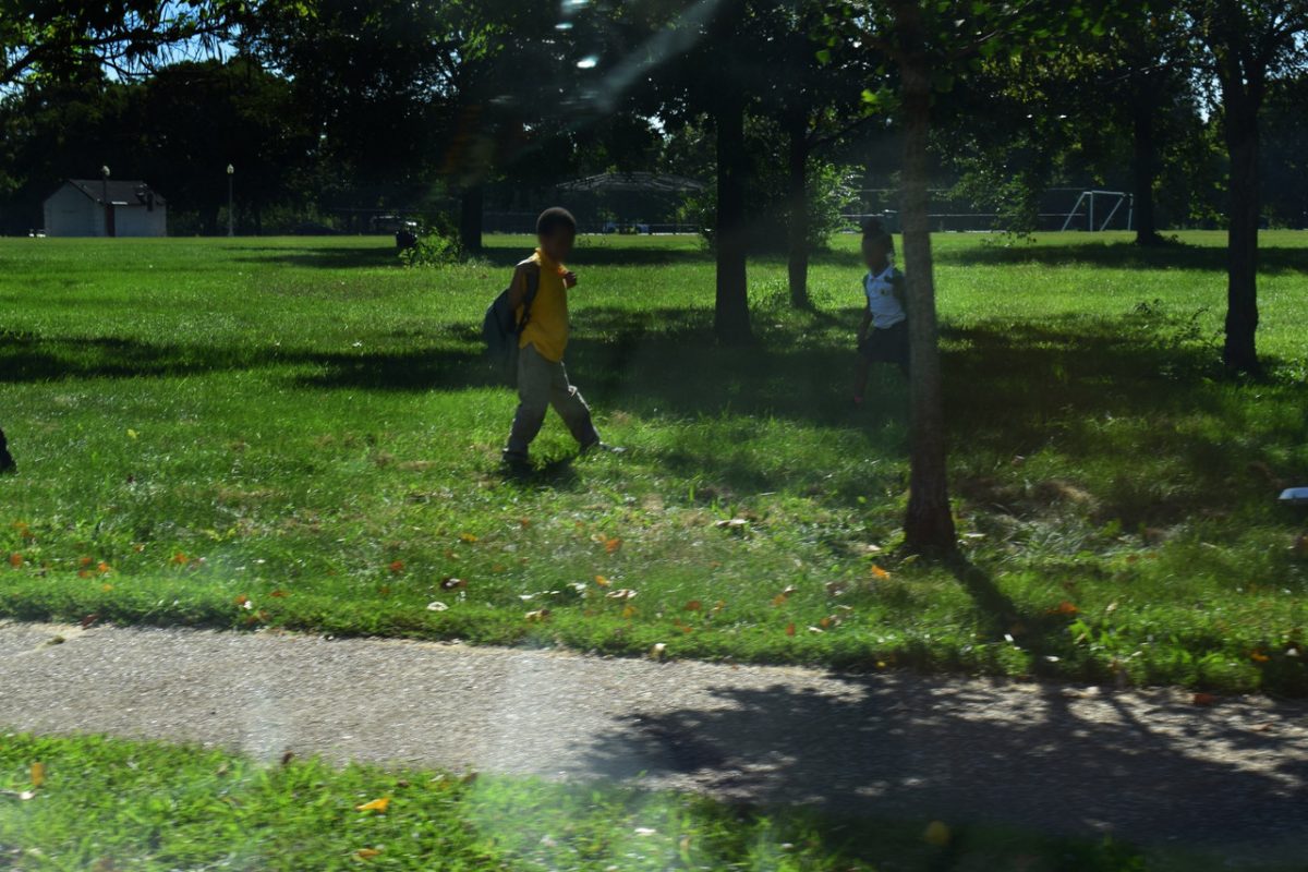 photo of sunny, green park, two little kids walking in it.