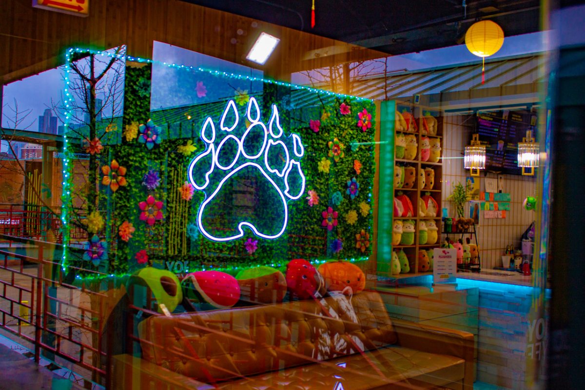 Photograph of a lounge area through the glass of a window, a neon paw above a couch.