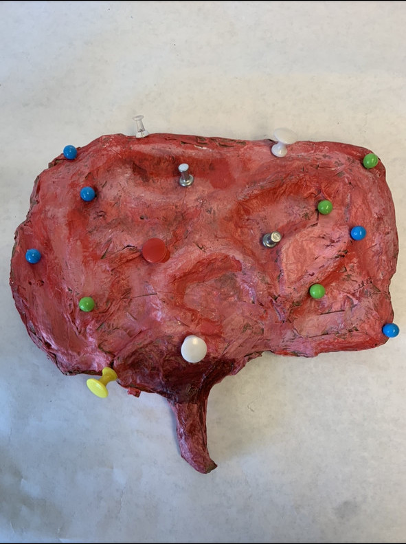 Picture of modeled brain with pins in it