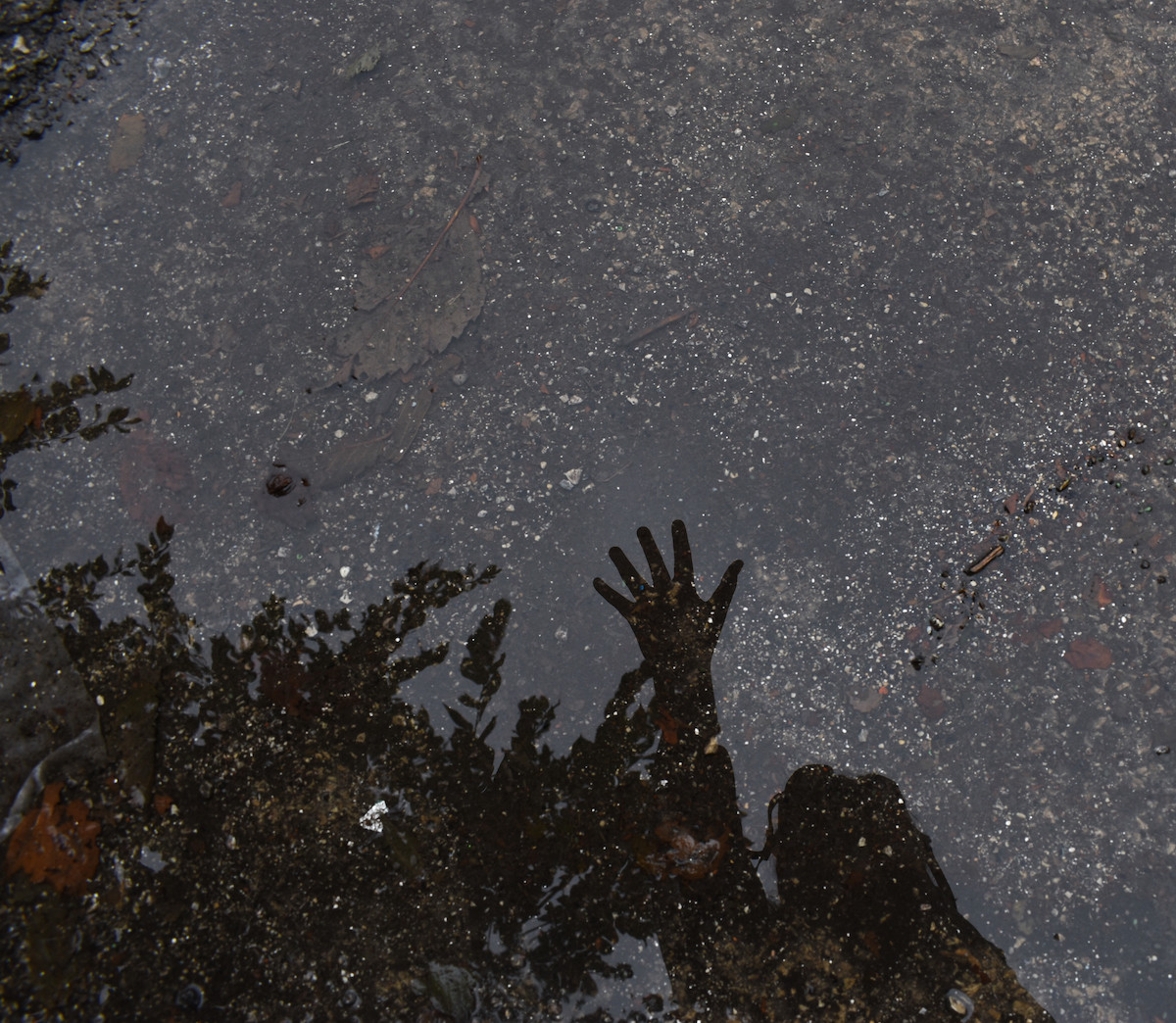 Photograph of a person waving into a puddle reflection
