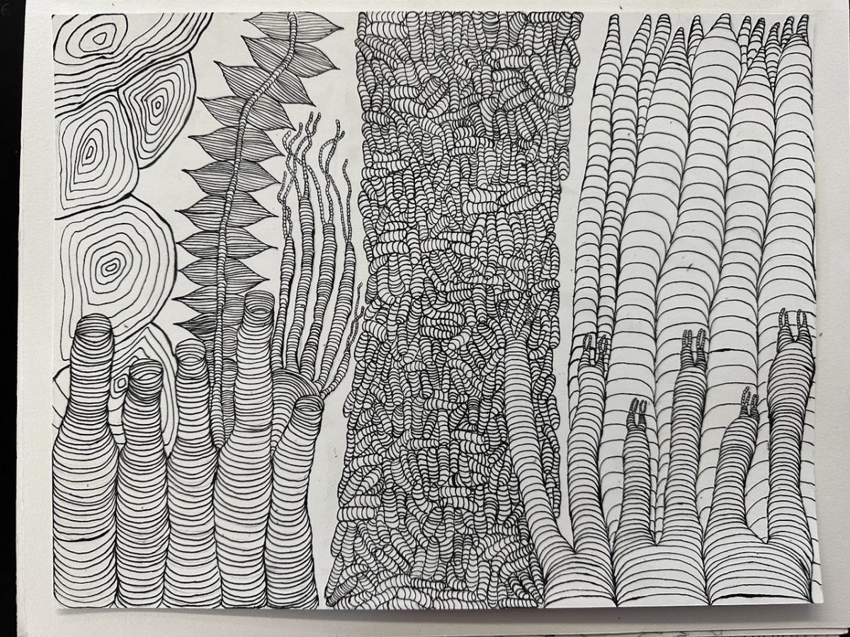 A pen illustration of complex patterns portraying a coral reef.