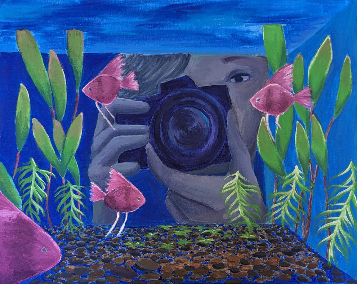 painting of a fish bowl looking out, someone with a camera taking a photograph of the fishes in the bowl.