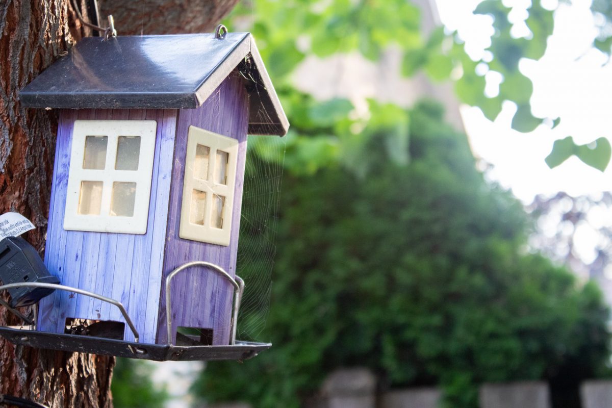 Photograph closely cropped on a small purple bird house hanging on a tree