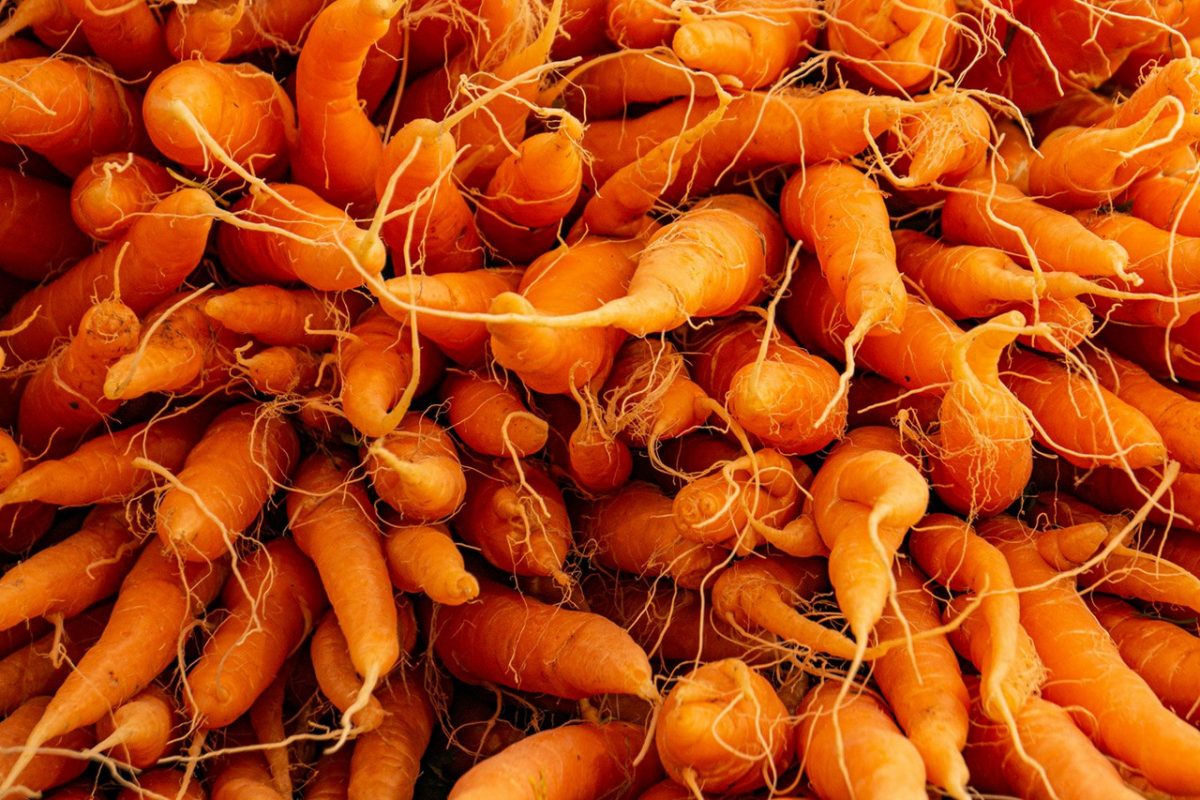 Stacked carrots