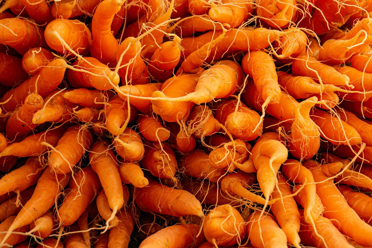 Stacked carrots