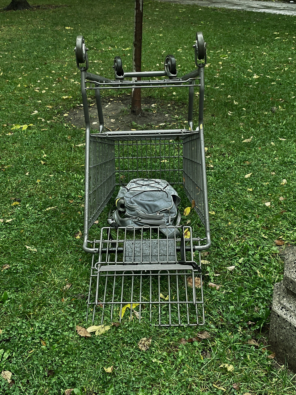 Backpack put into a shopping cart on a field of grass