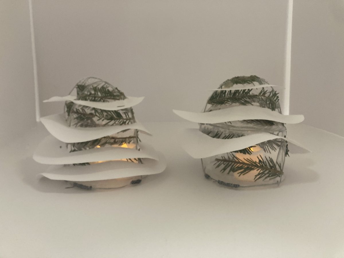 Two trees lit up from within in a white box