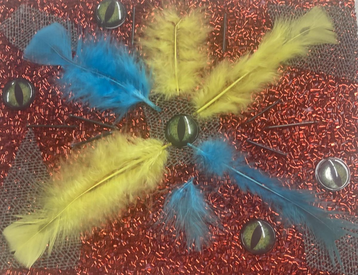 Collage of feathers and various objects.
