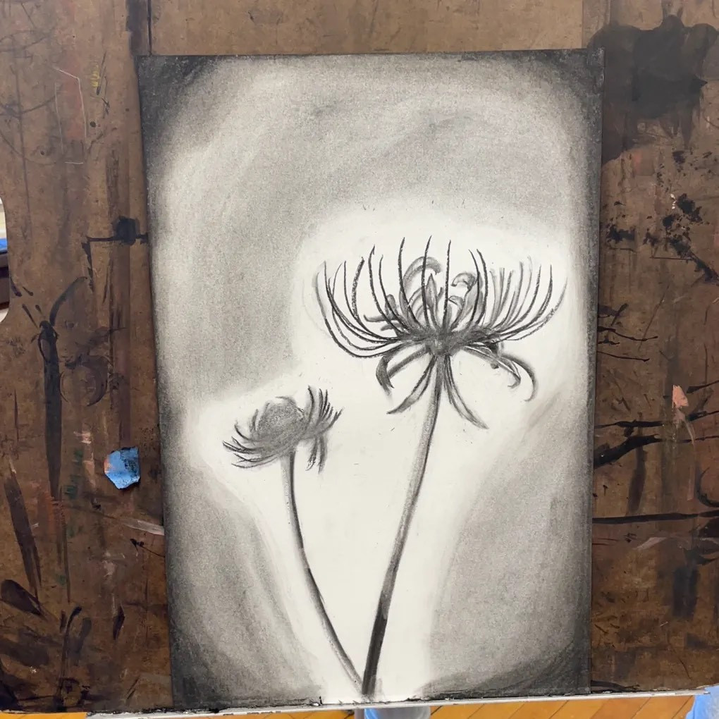 Spider lily flowers illuminated by a white glow