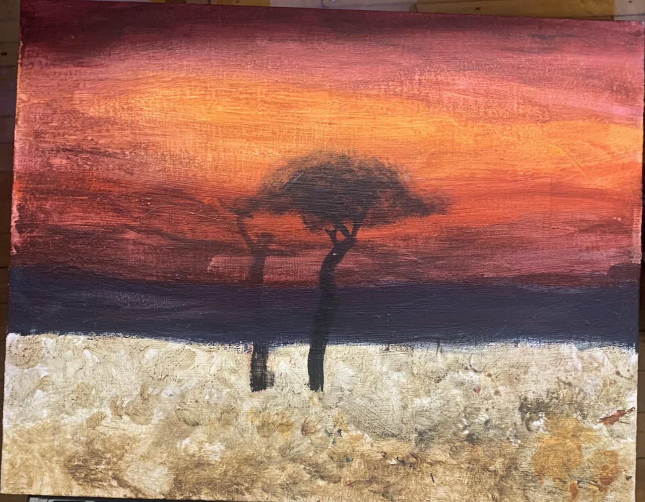 Orange sky with acacia trees and sandy ground