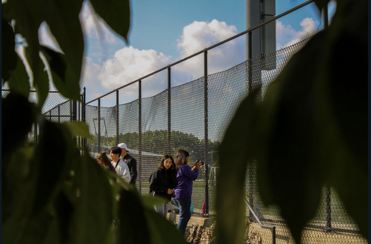 Leaves in forefront of playground