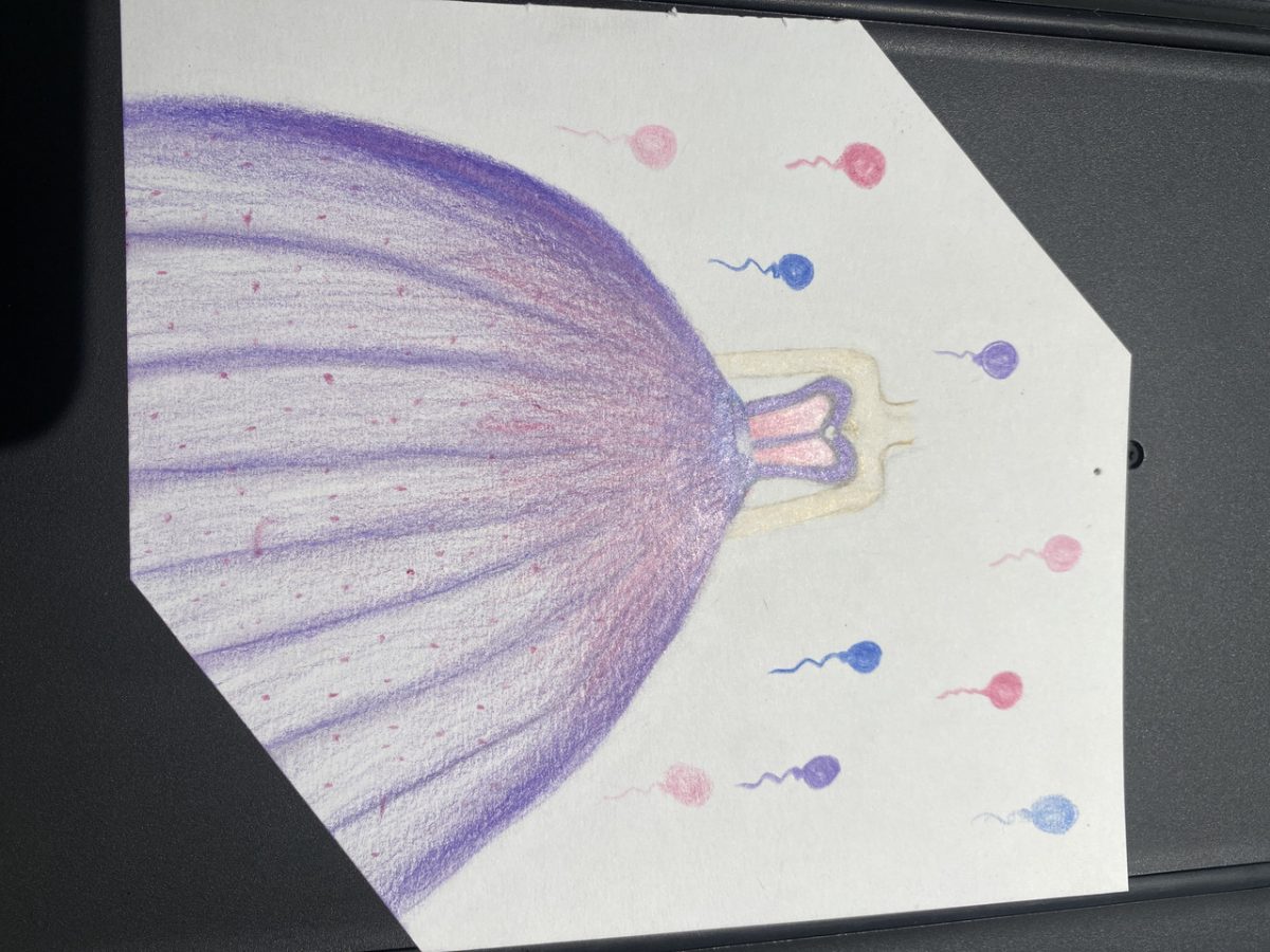 Large purple dress with a sweetheart neckline. Balloons littered around the background