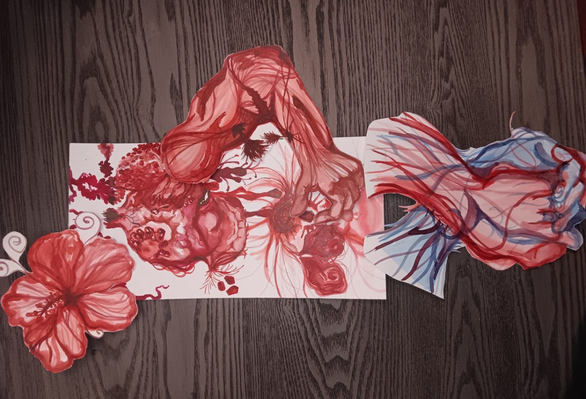 Drawing in red ink of a hibiscus flower, an arm crushing a pomegranate in its wrist, and a anatomical heart.