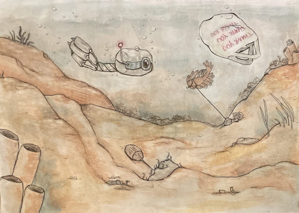 Pollution fills the barren bottom of the ocean while a gadget observes the area