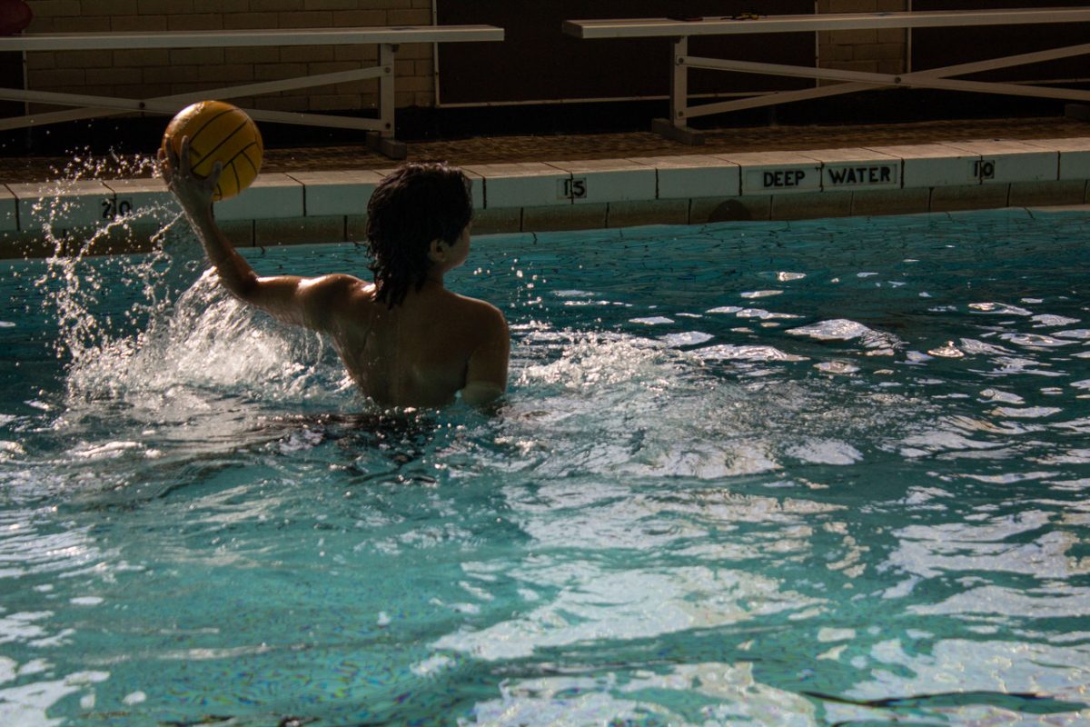 Photograph of a man in a pool playing water polo