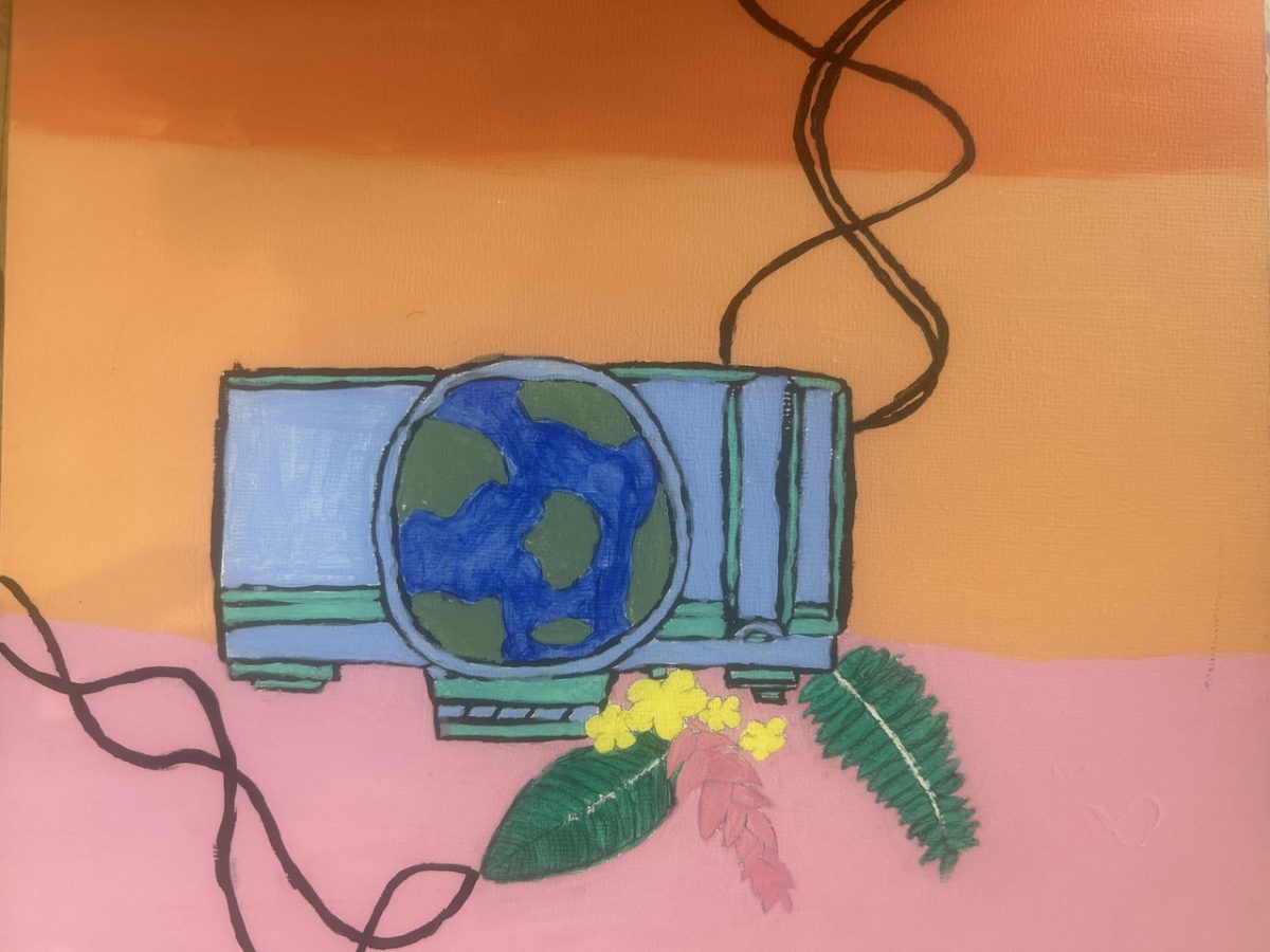 Camera with a symbol of Earth as the lens. There is flora attached to it. The backdrop with a sunset.