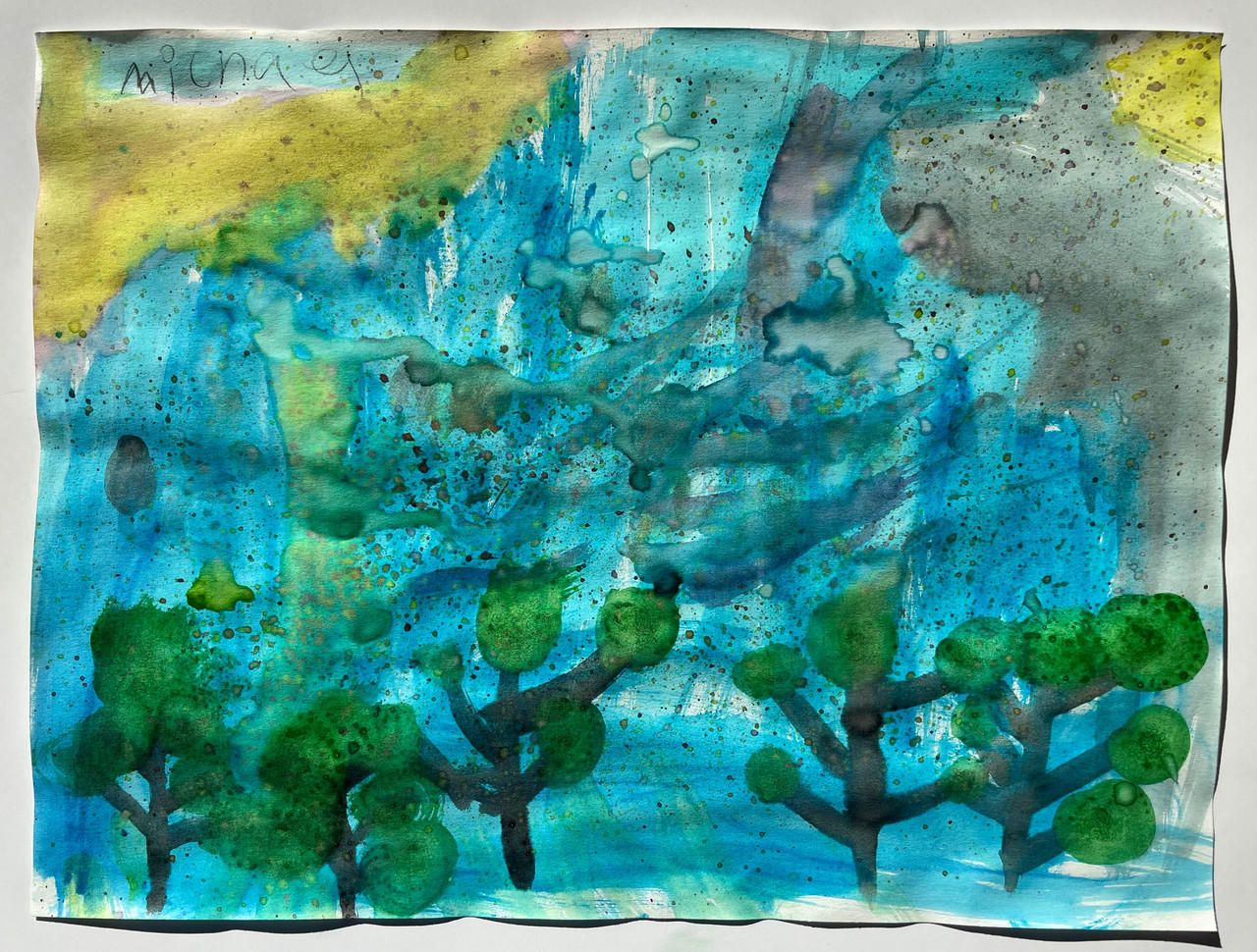 Blue green sky with green trees