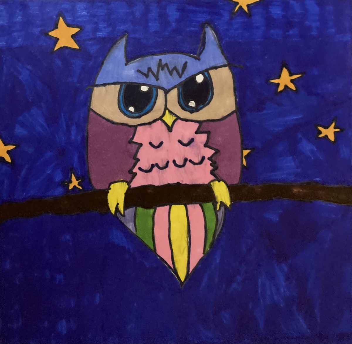 owl with blue sky and stars