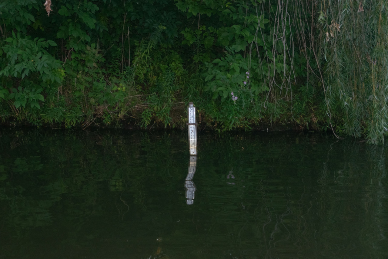 Buoy in the middle of a body of water surrounded by greenery