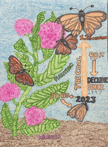 Pink milkweed flower with Monarch butterflies surrounding it. On the image, it says that the population of Monarchs decreased 90% from 1997 to 2023