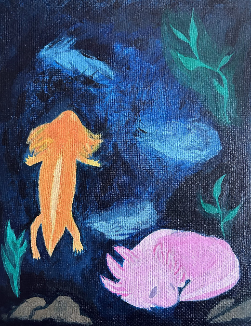 A group of axolotls swimming in a pool of bright blue water