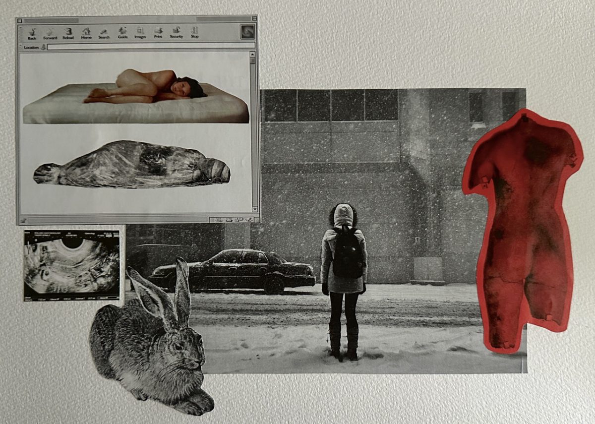 Mixed media collage featuring different cut outs of pop up window from computer, bunny, and person standing with back to us in front of snowy street.