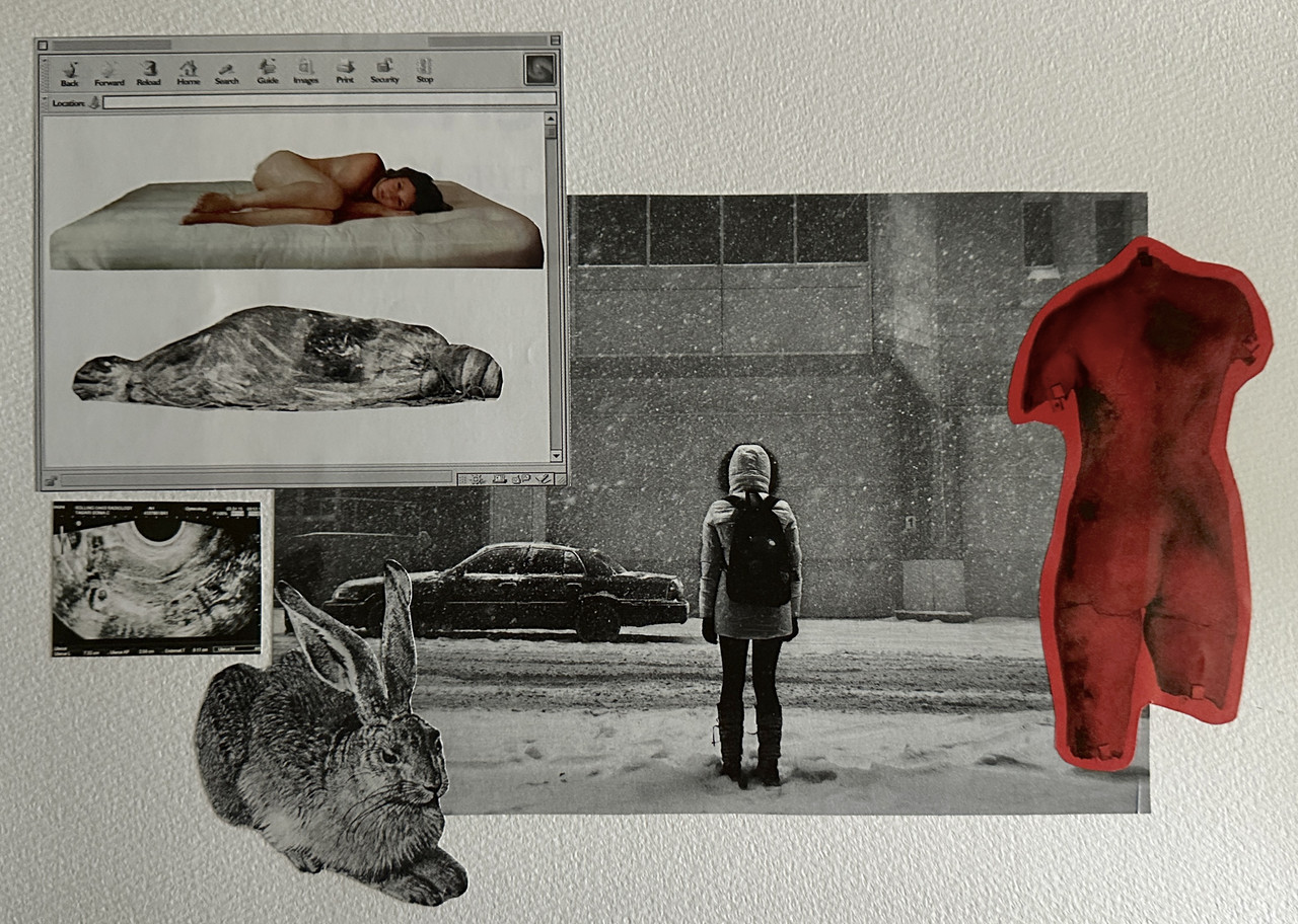 Mixed media collage featuring different cut outs of pop up window from computer, bunny, and person standing with back to us in front of snowy street.