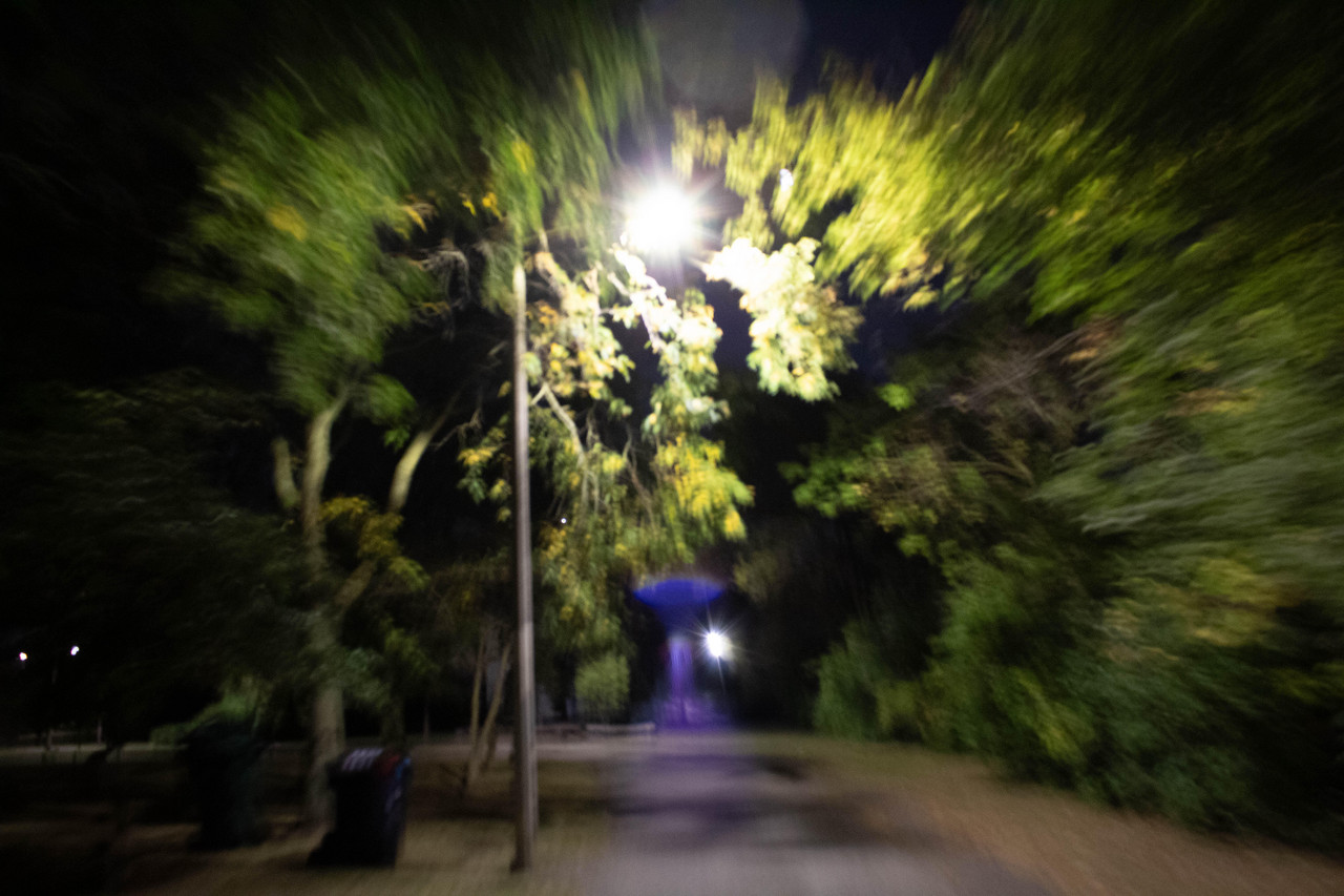 Abstract blurry photograph of dark street illuminated by streetlight with bright green trees