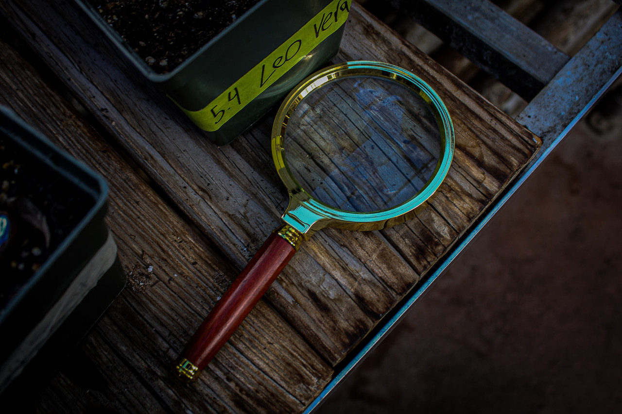photo of magnifying glass on wood table