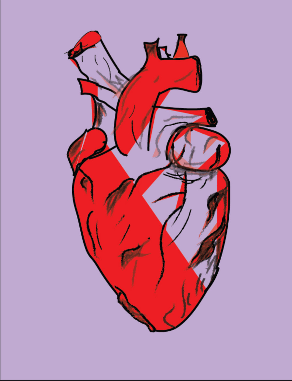 Digital artwork of anatomical heart with split coloring of red and white