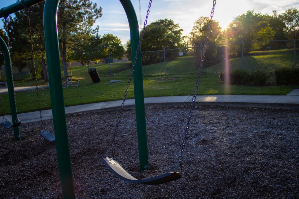 Photograph of swing with sun and trees in background