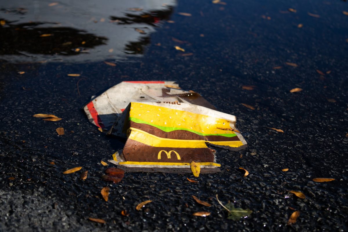 photograph of mcdonalds packaging floating in puddle with leaves